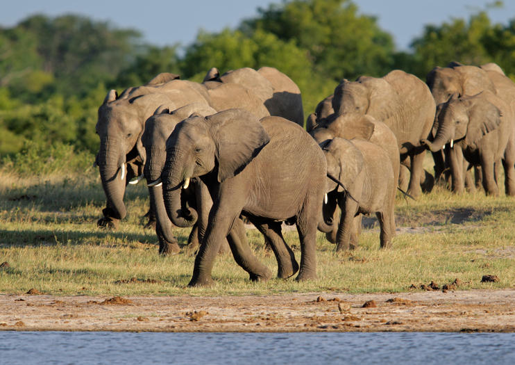 Parque Nacional Hwange